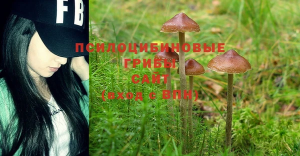 марки nbome Армянск