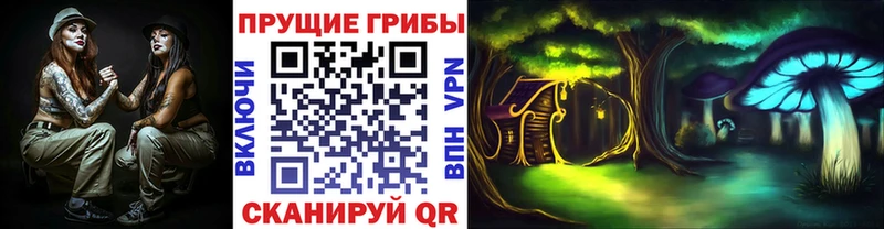 Псилоцибиновые грибы ЛСД  сколько стоит  Старица 